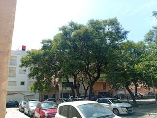 Business premise  Salvador espada leal. Interesante inversion en echevarria de huelin