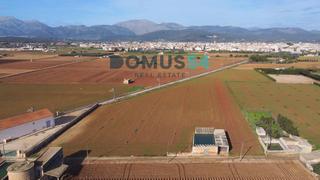 Finca rústica a Sa Pobla. Terreno rústico en sa pobla
