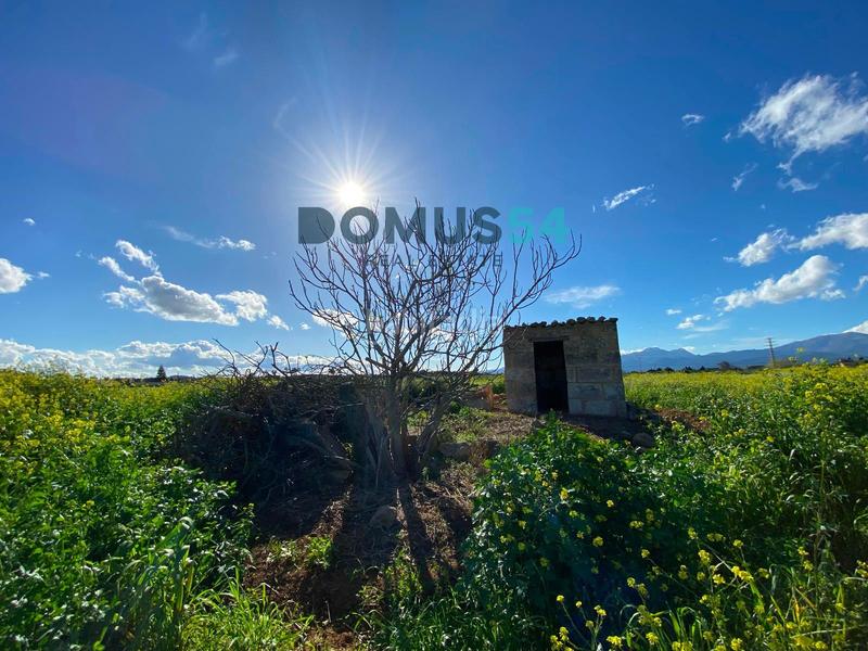 Foto 05c32438-a335-42f7-9c2f-e3489e174c25. Fondo rustico in Muro