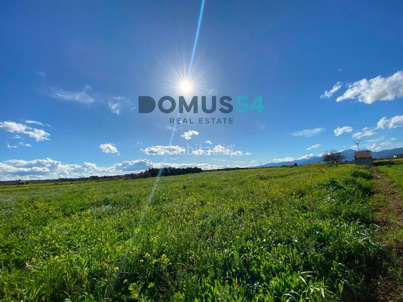 Foto 0ef90cbf-c054-4dd1-b015-df91089f7c88. Fondo rustico in Muro