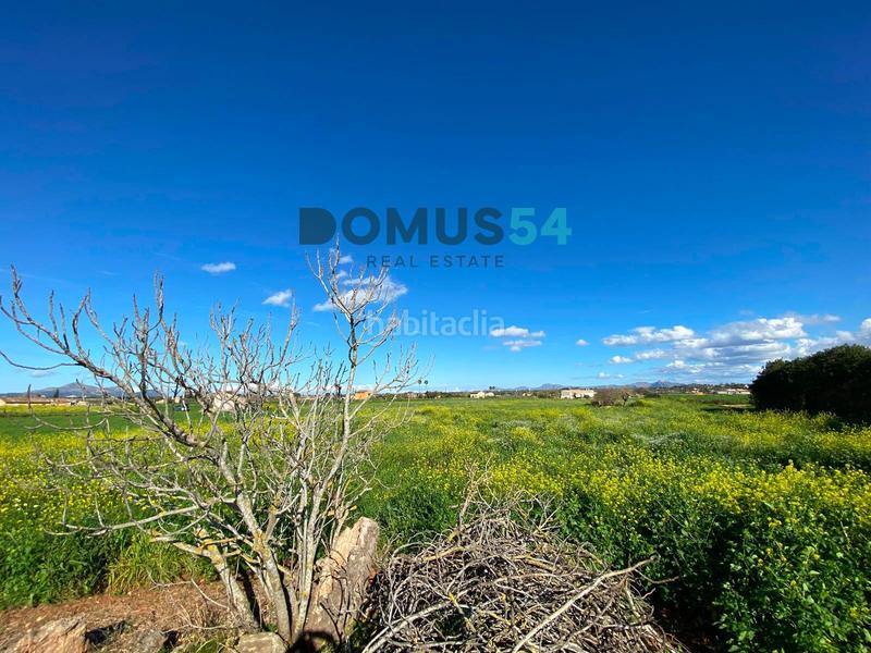 Foto 10ace3c4-c8e5-426a-b9da-d1efe24cb6e0. Fondo rustico in Muro