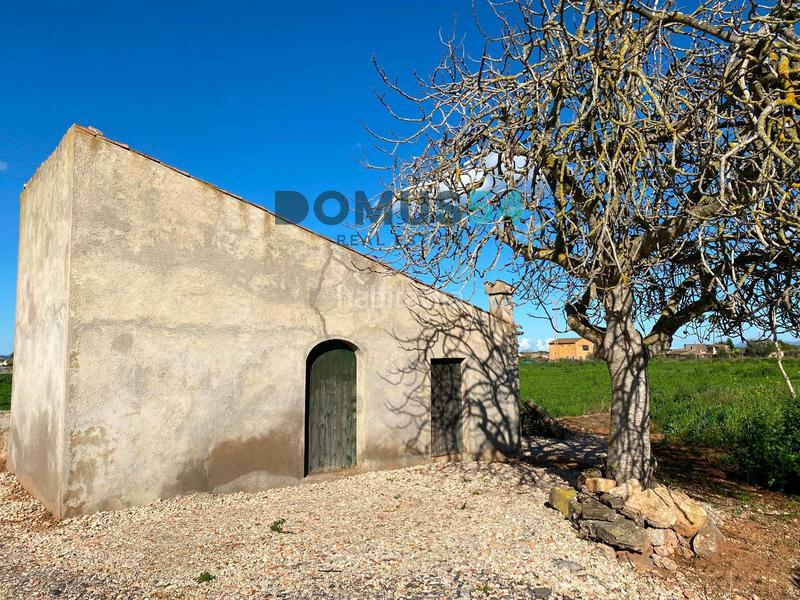 Foto 267b2adb-e06d-4fd7-9e9f-a407c9c91e00. Fondo rustico in Muro