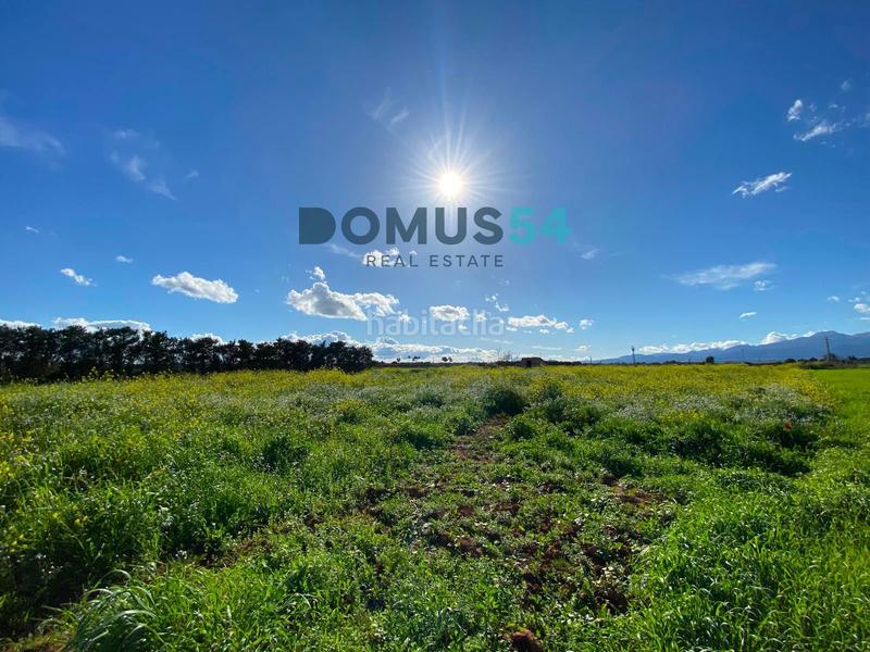 Foto 2d6f1391-5237-4d36-a1ef-46eadc4894cd. Fondo rustico in Muro