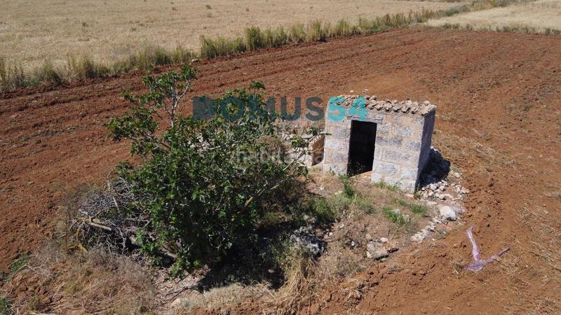 Foto 2e49d90f-b9b6-407a-b050-f1e1c066f1ce. Fondo rustico in Muro