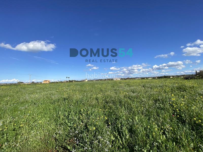 Foto 3fe51351-6d99-4573-b5ac-76d0d5e2a94d. Fondo rustico in Muro