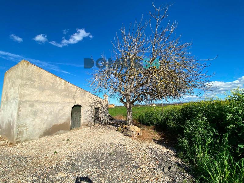 Foto 41cfeff7-9908-40d1-9d9f-63438fcf5a6b. Fondo rustico in Muro