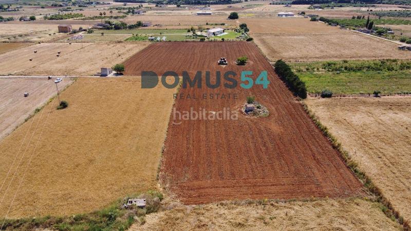 Foto 46493d15-170e-44cf-8701-da9240c14db7. Fondo rustico in Muro