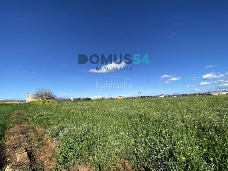 Foto 6dc676ec-a475-4fee-a59d-4fa0b4764fd9. Fondo rustico in Muro