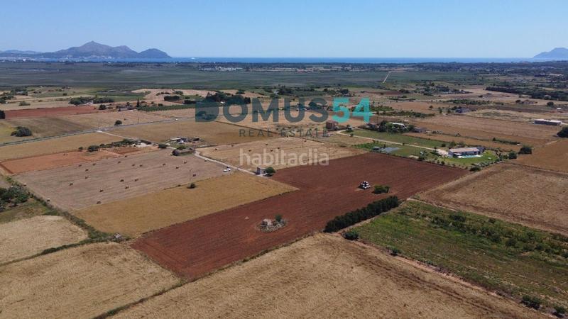 Foto 7389c08f-b7e6-4b5c-8072-06c55ba7ebe5. Fondo rustico in Muro