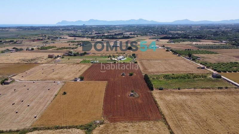 Foto 7a1a1811-d638-4d63-a433-f7e43e352a34. Fondo rustico in Muro