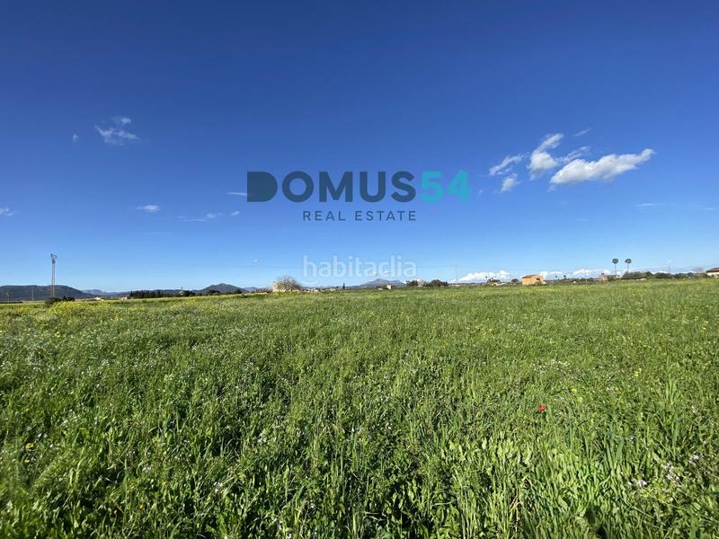 Foto 7a5eaae7-522a-4324-b27f-3bb9b0433705. Fondo rustico in Muro