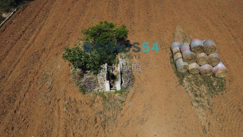 Foto 84afa1db-a594-4a4b-a702-b1dabccab532. Fondo rustico in Muro