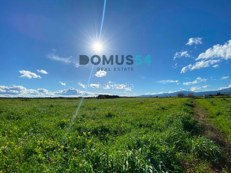 Foto 8f00e36d-69d4-4807-810f-207b670d95eb. Fondo rustico in Muro