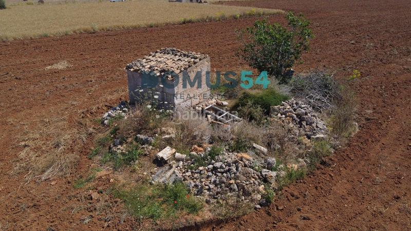 Foto 9f8d8878-182d-4f52-b881-2bd5a5ea4b94. Fondo rustico in Muro