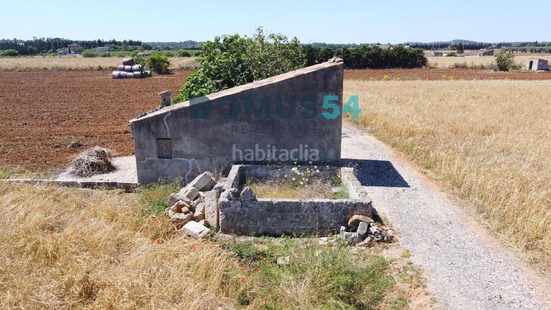 Foto c37dbd67-485c-4b13-a9af-55f7f085e2b4. Fondo rustico in Muro