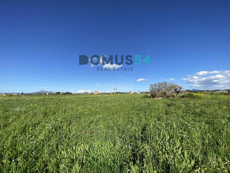 Foto c9a837aa-2540-424b-8f7e-56f22612f3b3. Fondo rustico in Muro