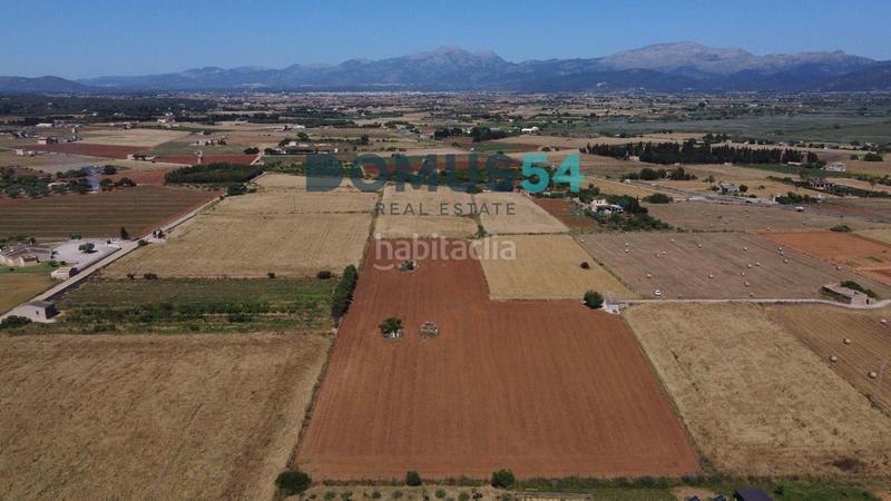 Foto dc929800-06ba-49d4-8dac-0811a4021910. Fondo rustico in Muro