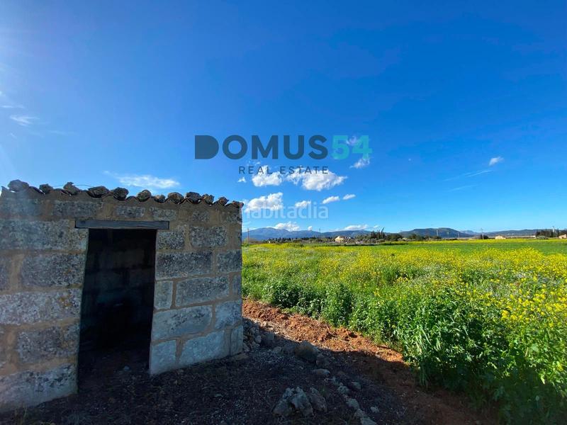 Foto e9358485-3801-4786-acc9-6e6e1494b71d. Fondo rustico in Muro