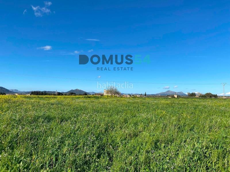 Foto ee1c20e1-45cf-48ba-b654-ea1e09c39839. Fondo rustico in Muro