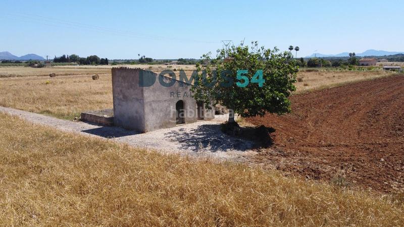 Foto eef10e60-f0fc-473b-bc36-aa5ba510a080. Fondo rustico in Muro