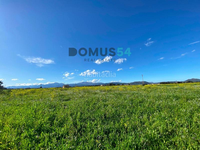 Foto f722704b-7c05-44bd-9684-eb936eade689. Fondo rustico in Muro