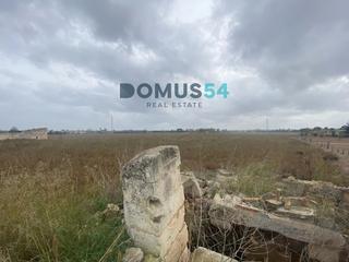 Finca rústica a Sa Pobla. Terreno rústico no edificable en sa pobla
