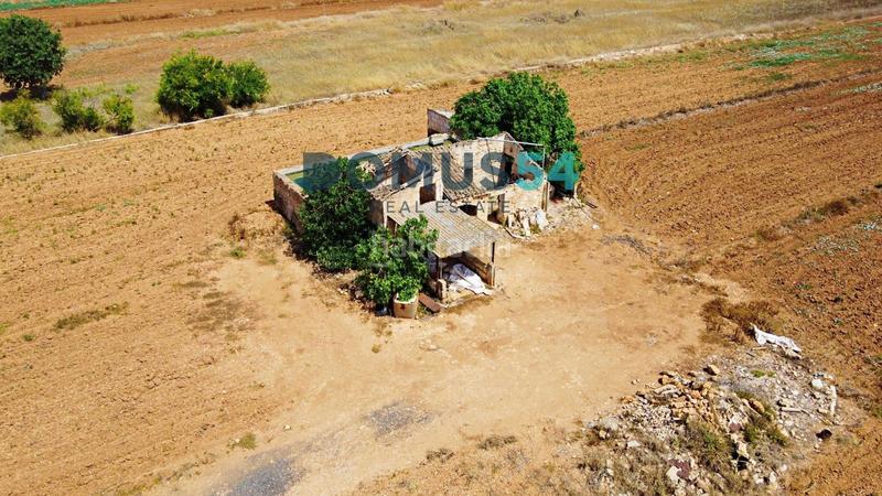 Foto 0a1284e6-c255-416b-b420-37788bf0f9f5. Fondo rustico in Sa Pobla