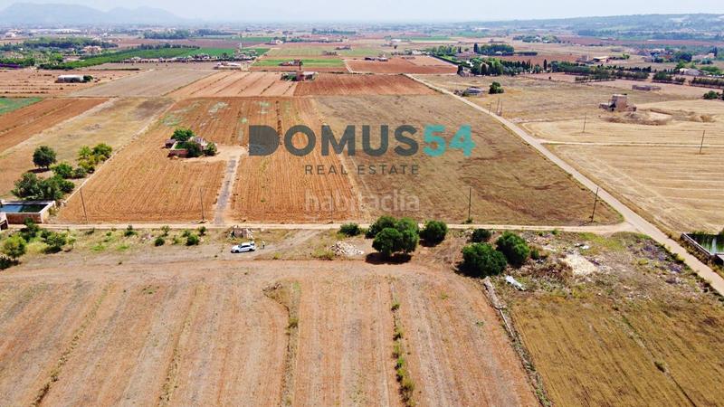 Foto 10da4054-1c02-4208-9560-5ec816b10d84. Fondo rustico in Sa Pobla