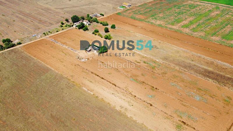 Foto 240547d7-5083-415e-aabb-53e8df53d44b. Fondo rustico in Sa Pobla