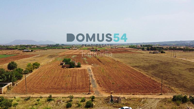 Foto 31624e3d-ce19-4b8e-a312-a20d3b754253. Fondo rustico in Sa Pobla