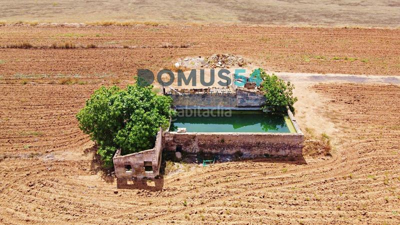 Foto 39d396b8-a20a-46ed-846a-96cb30723679. Fondo rustico in Sa Pobla