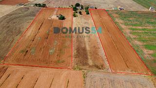 Finca rústica a Sa Pobla. Finca rústica edificable en sa pobla