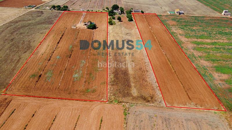 Foto 40b20d4e-39b6-4c62-9ed3-709e819491f7. Fondo rustico in Sa Pobla