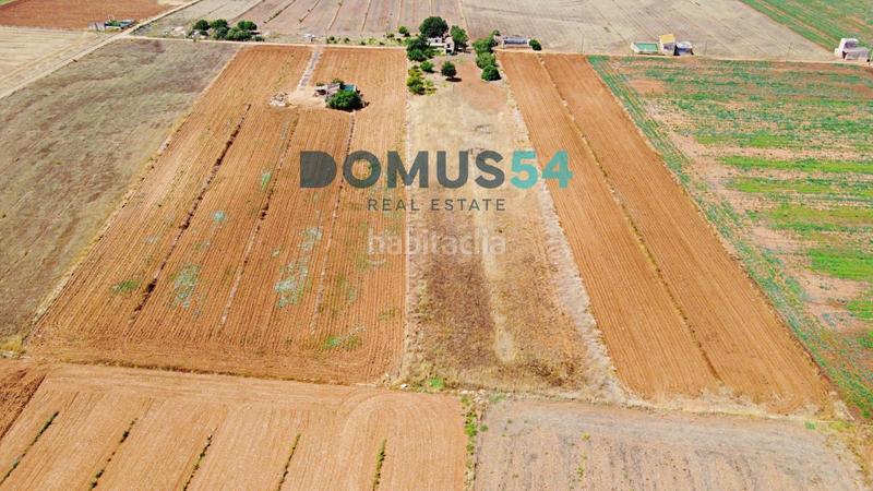 Foto 4707496e-c94b-4b7b-b7d1-3c124a6644e6. Fondo rustico in Sa Pobla