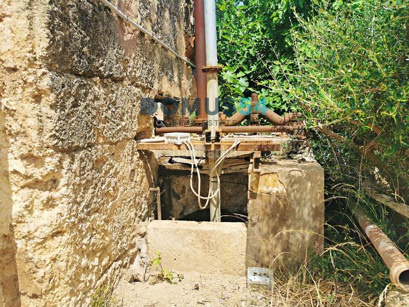 Foto 5e3ba895-9625-4bbb-9441-697a7b44f083. Fondo rustico in Sa Pobla