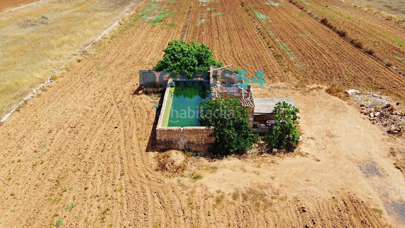 Foto 671ff149-9e2f-4ec3-831b-dde8df05cb25. Fondo rustico in Sa Pobla