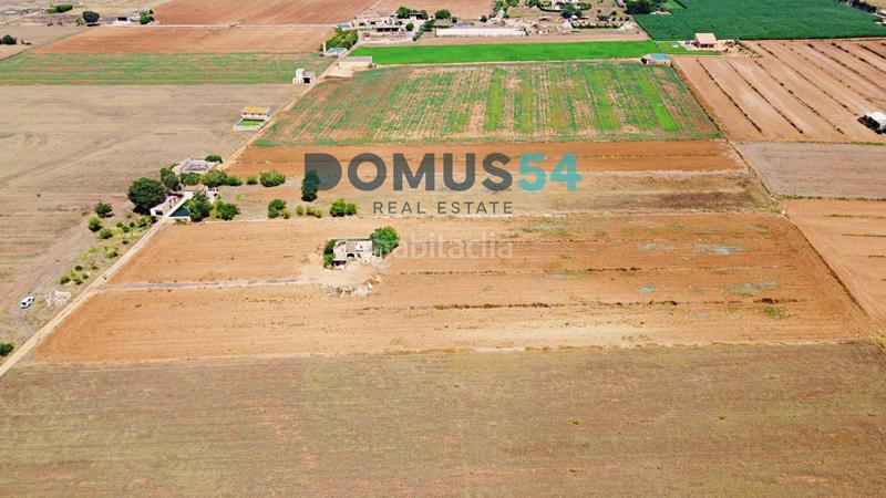 Foto 74121ef1-a12d-4a51-8f87-eea1bde1ac66. Fondo rustico in Sa Pobla