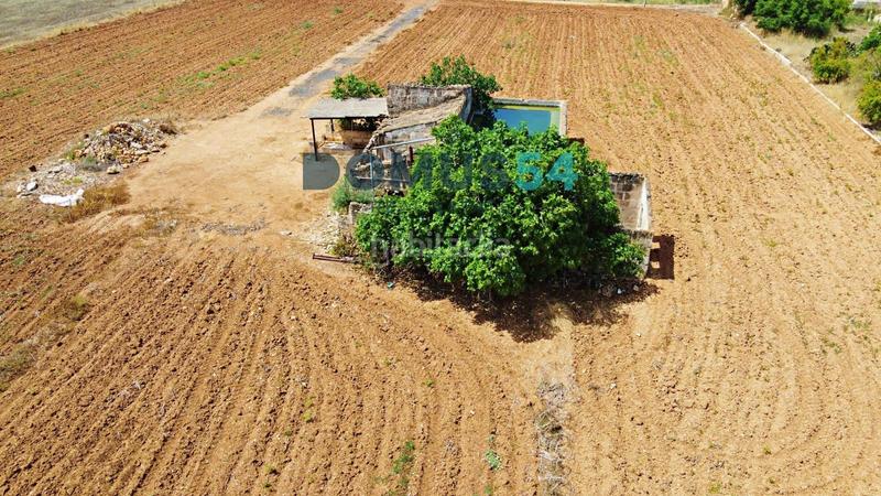 Foto 7984725e-e35a-42c6-99f8-bb25ff2540f7. Fondo rustico in Sa Pobla