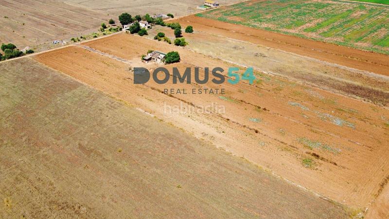 Foto a2674433-f0eb-4532-ab46-63f77ecd4181. Fondo rustico in Sa Pobla