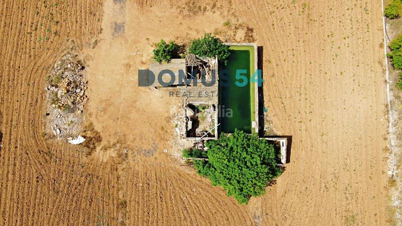 Foto abe01dbc-077e-4671-8206-c15487ae17fb. Fondo rustico in Sa Pobla