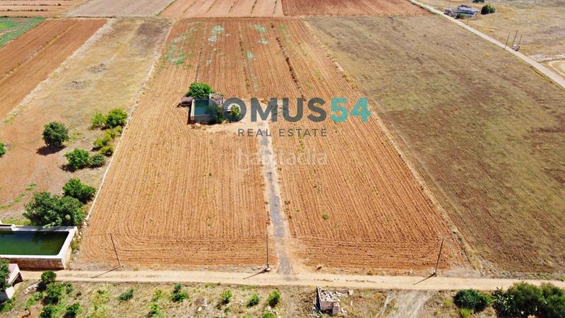 Foto af51b07f-531f-4261-93a6-3fb95aca4249. Fondo rustico in Sa Pobla