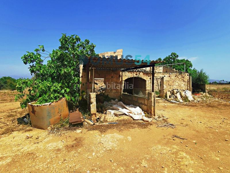 Foto c3b13317-62ed-4878-bdd2-fb90cd5a0c98. Fondo rustico in Sa Pobla