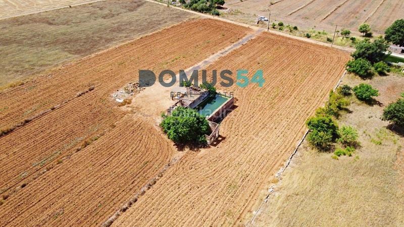 Foto df840c4e-742b-4891-899c-53c95c189d07. Fondo rustico in Sa Pobla