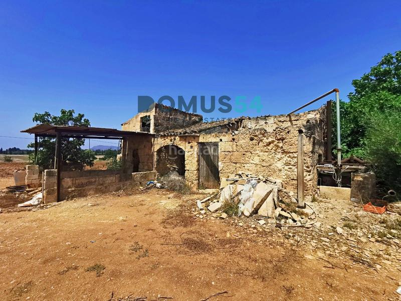 Foto e5a3ba9c-2c35-4aa9-b66e-bbdd81cfae81. Fondo rustico in Sa Pobla