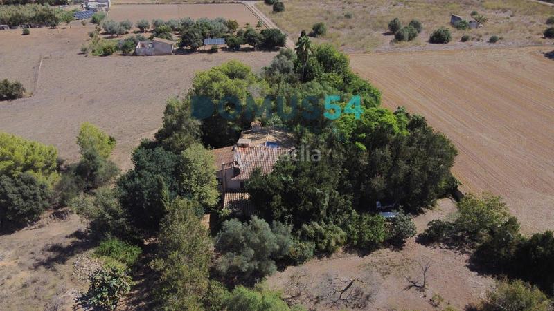 Foto bfeaf7ae-4fee-4063-a914-fa8ede74056d. Masia amb piscina a Sa Pobla