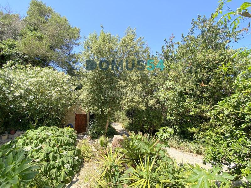 Foto ed9c8acf-6863-4c96-88ae-7a7b7ffb95a5. Masia amb piscina a Sa Pobla