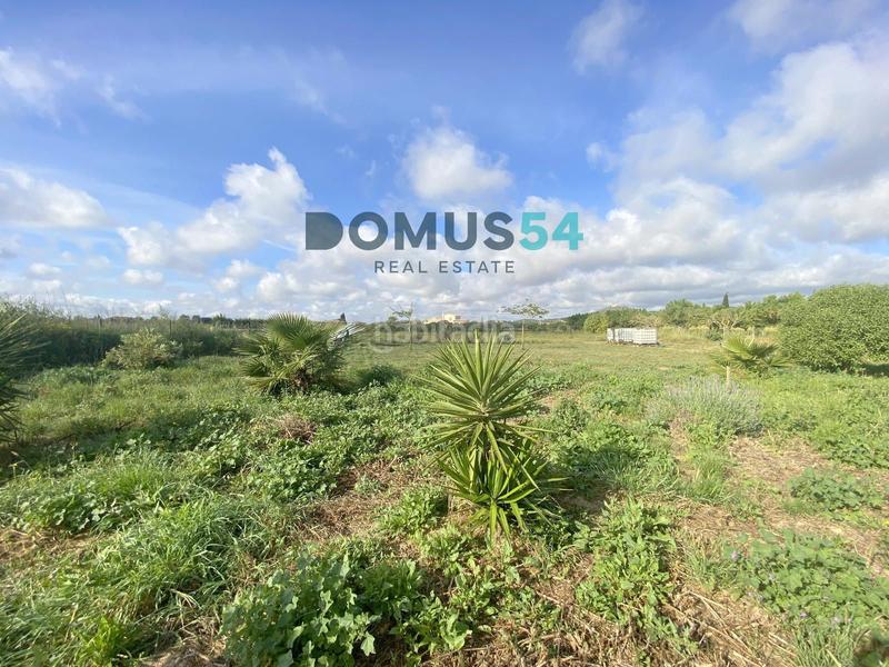 Foto 1a259a62-19e5-4318-9fa9-ad1724388f0f. Rural plot in Porreres