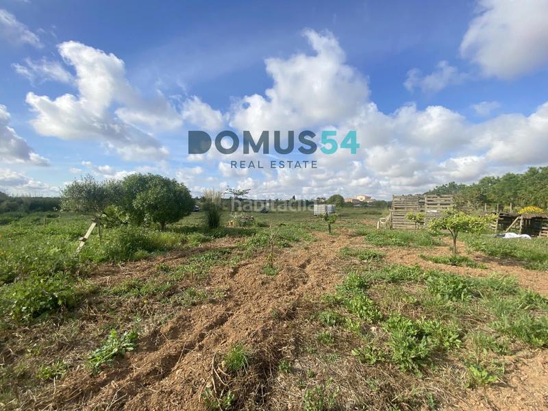 Foto 3a933e3f-2cbe-4671-8a96-1931c865e817. Rural plot in Porreres