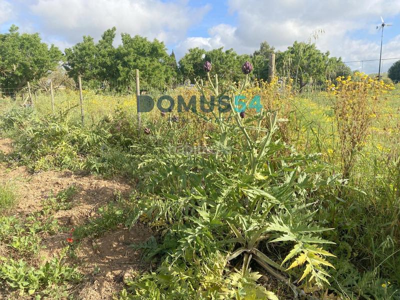 Foto 69d36b0c-3039-49e9-b034-f4de9b2f54d7. Rural plot in Porreres