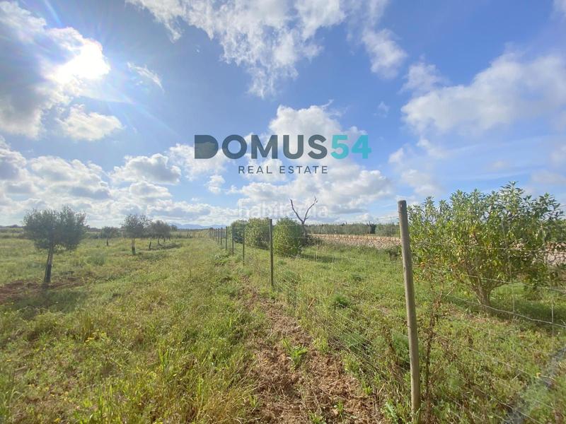 Foto 87619364-e7e2-4d7d-aa8e-02aa8ad11e0c. Rural plot in Porreres